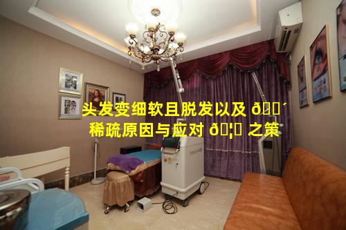 头发变细软且脱发以及 🐴 稀疏原因与应对 🦟 之策